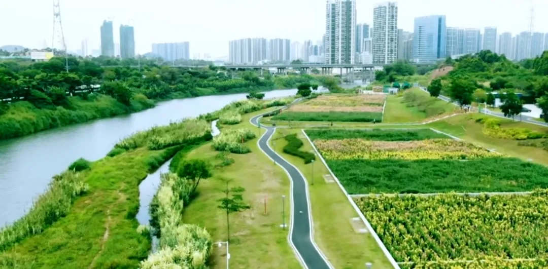 淡澳河濕地公園 淡澳河濕地公園.jpg